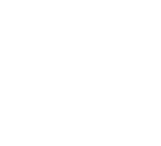 Logo de Desde la raíz