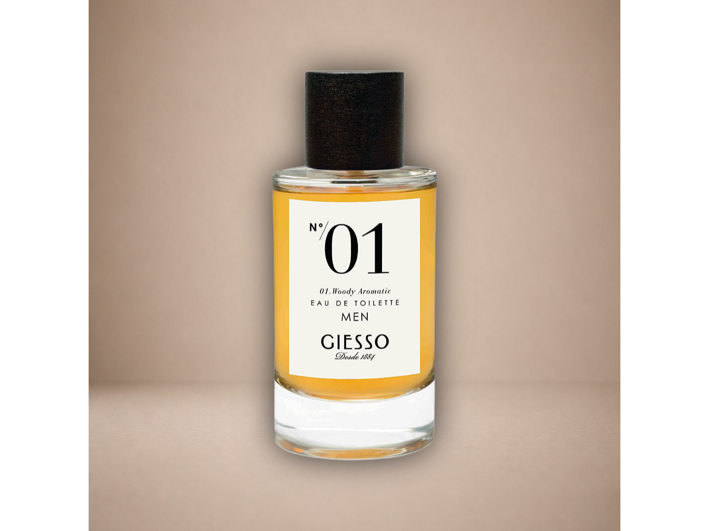 Giesso 01 100 ml