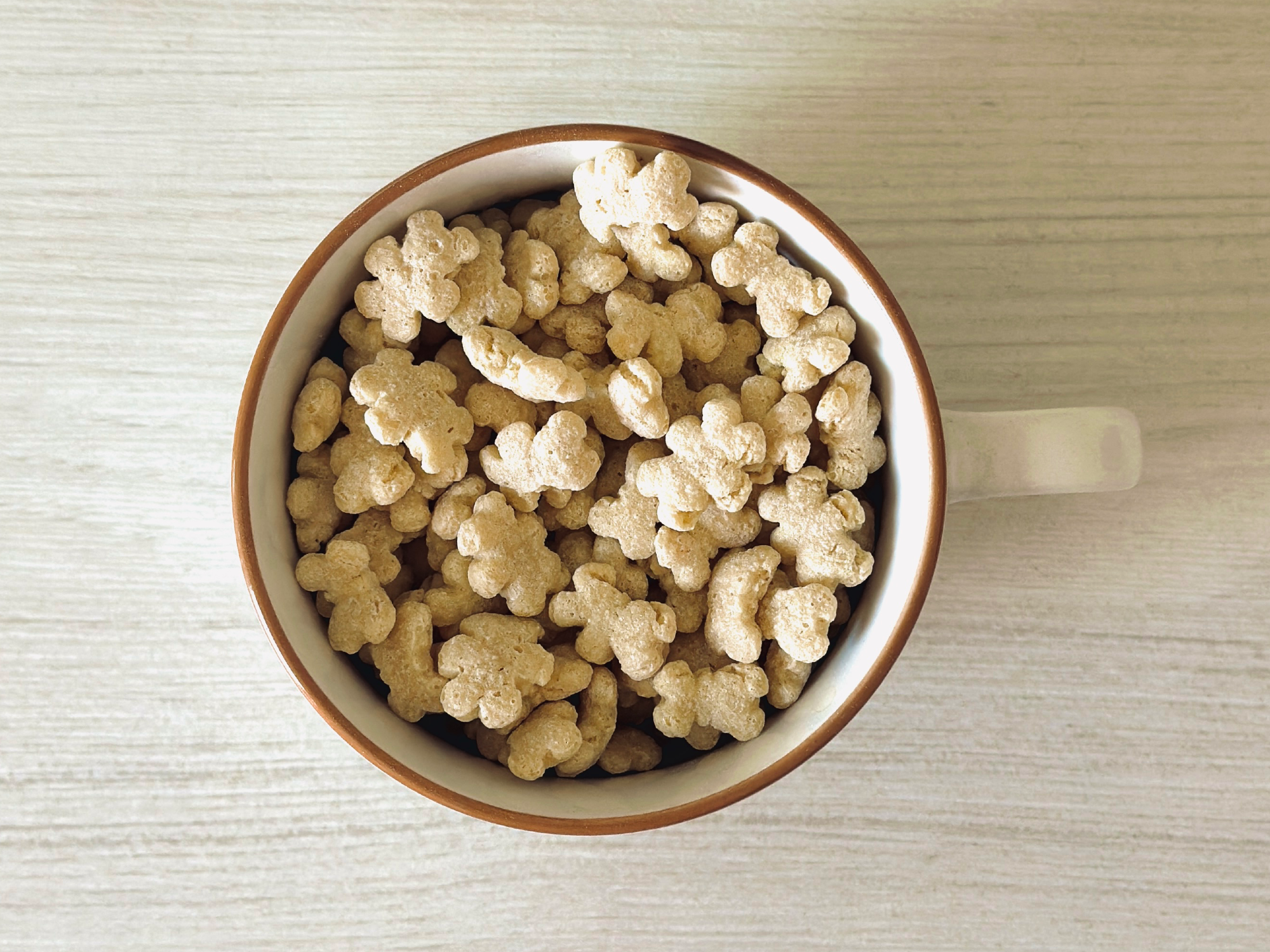 OSITOS DE AVENA Y MIEL