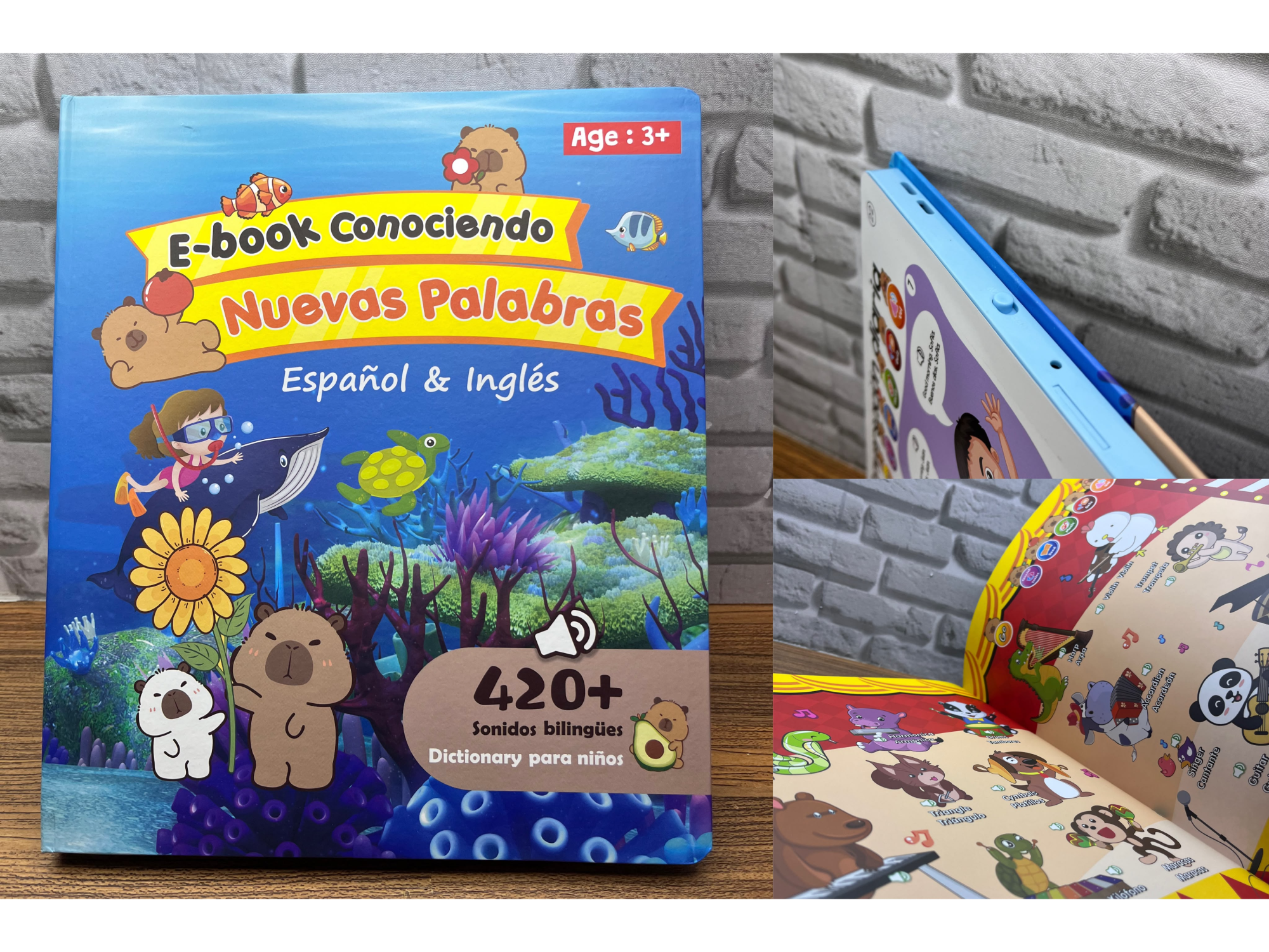 📚E-Book Educativo🌈✨ Cod: UC169-5