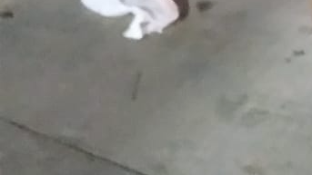 NIÑOS