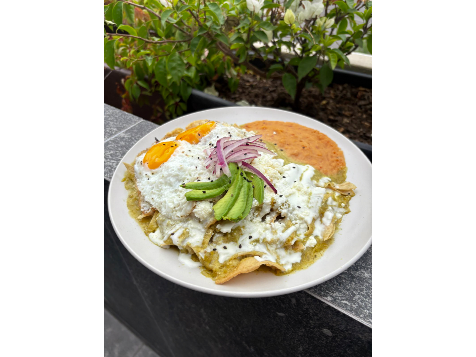 Chilaquiles verdes