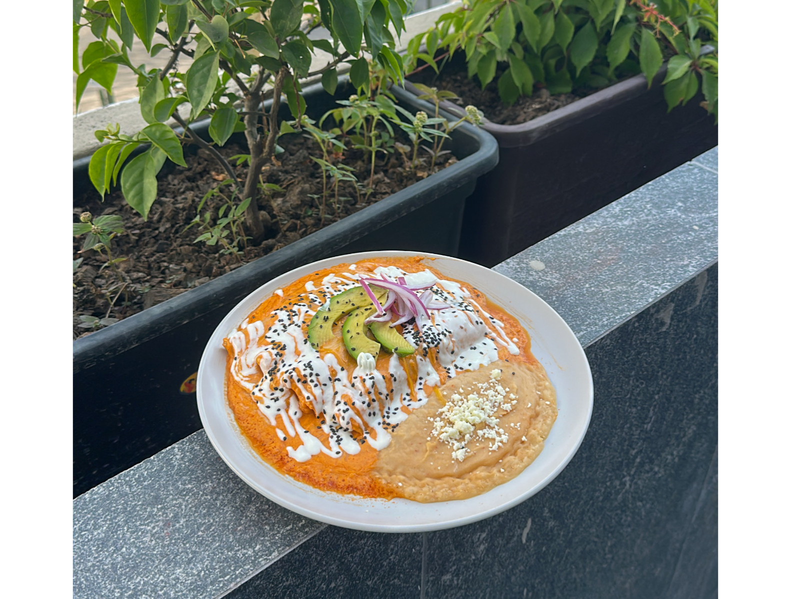 Enchiladas suizas rojas