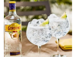 Gin gordons + tonica 1500 cc
