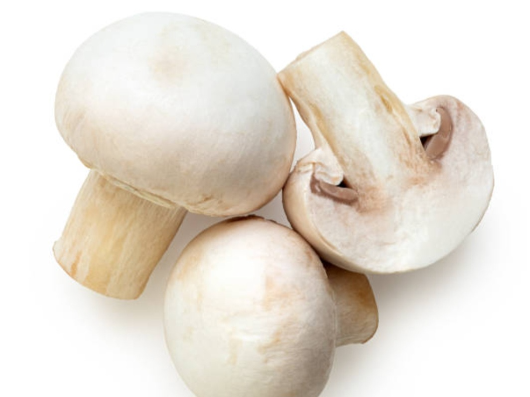 Champignones x100 grs