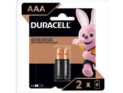 Pilas duracell AAA x 2 un