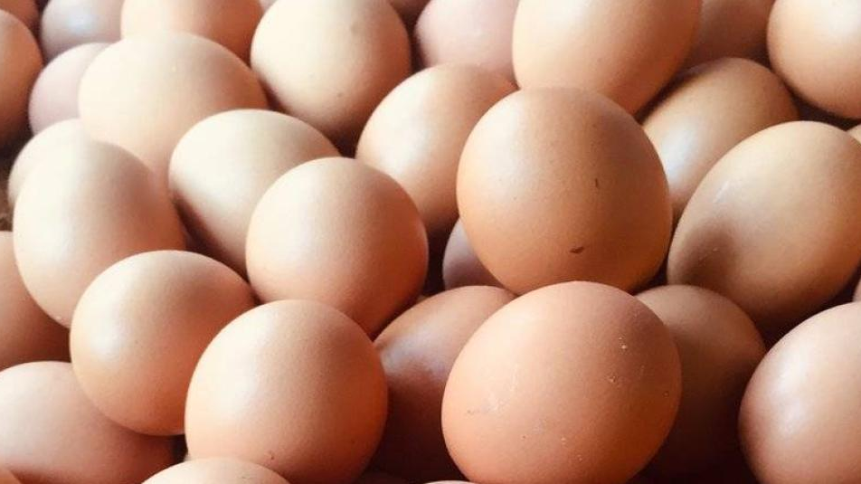 Huevos