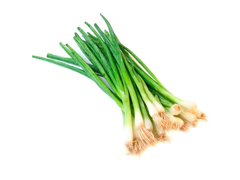 Cebollita verdeo