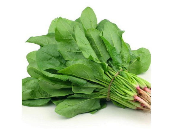 Espinaca