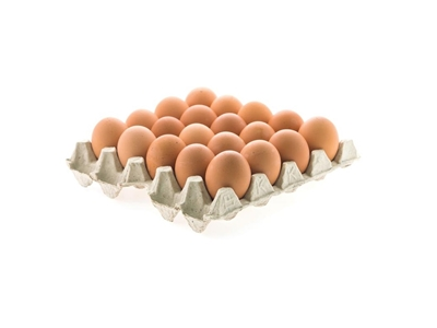 Maple de huevos Extra Grandes x 20 unidades