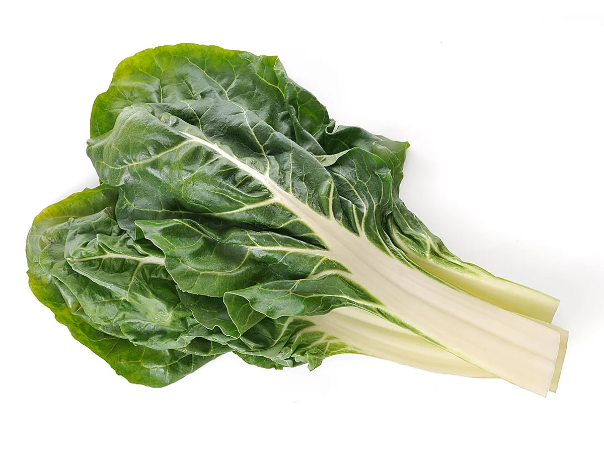 Acelga