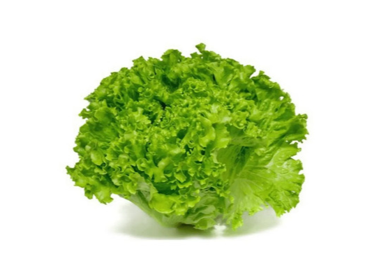 Lechuga Rulito