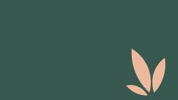 SUPLEMENTOS NATURALES