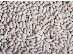 Porotos de alubia x kilo