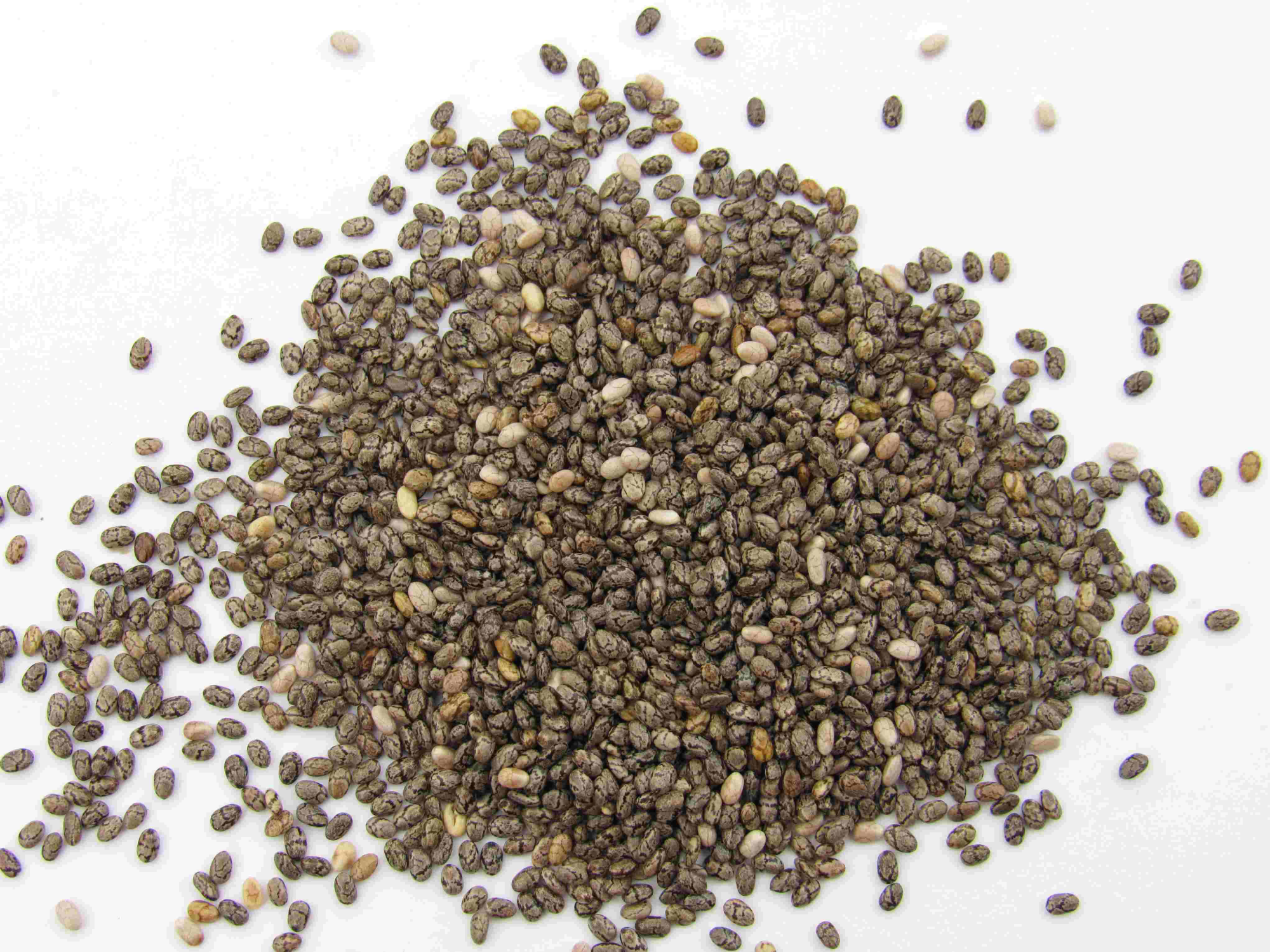 Semillas de chia