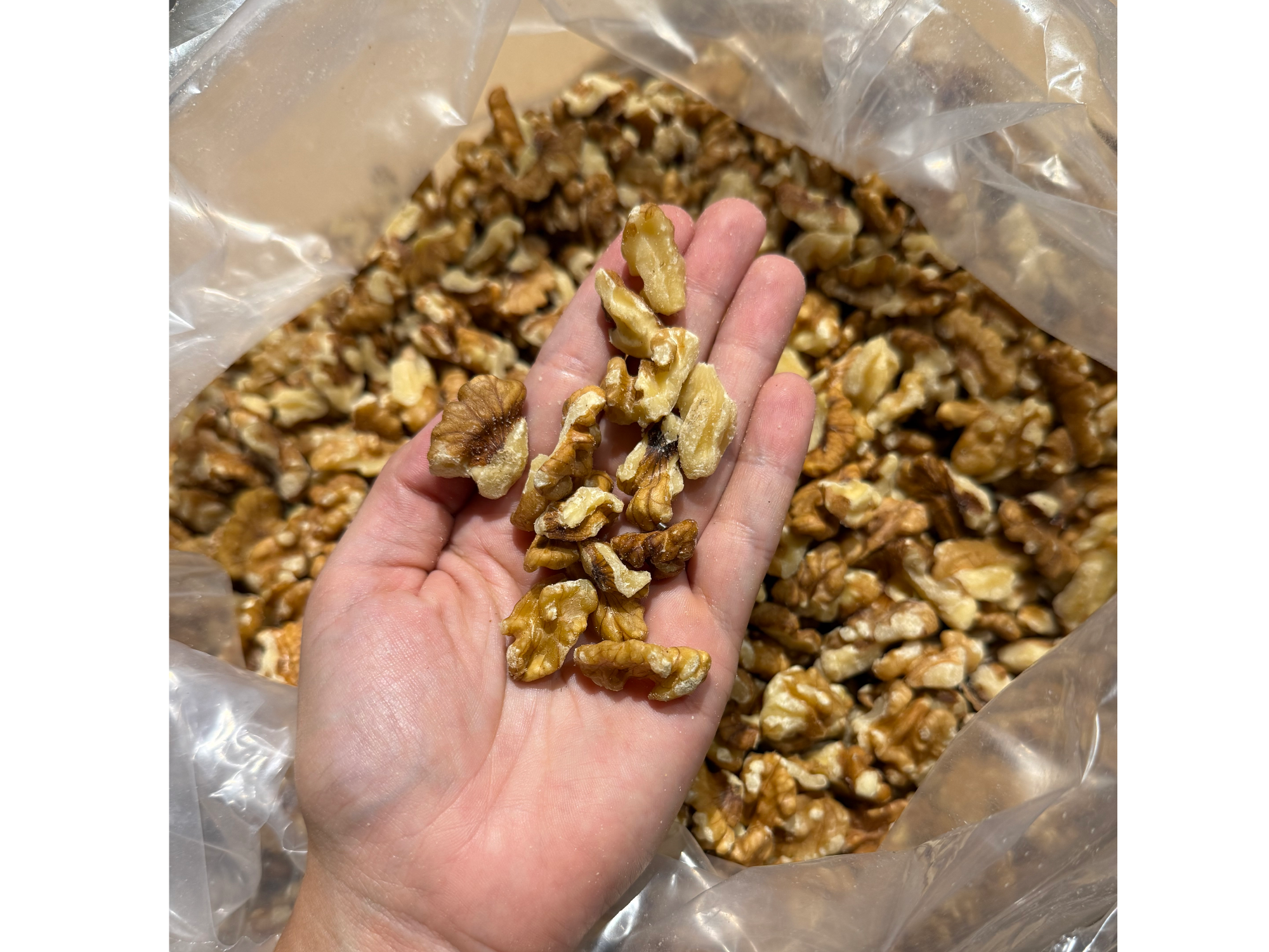 Nuez dorada partida ¡COSECHA 2026!