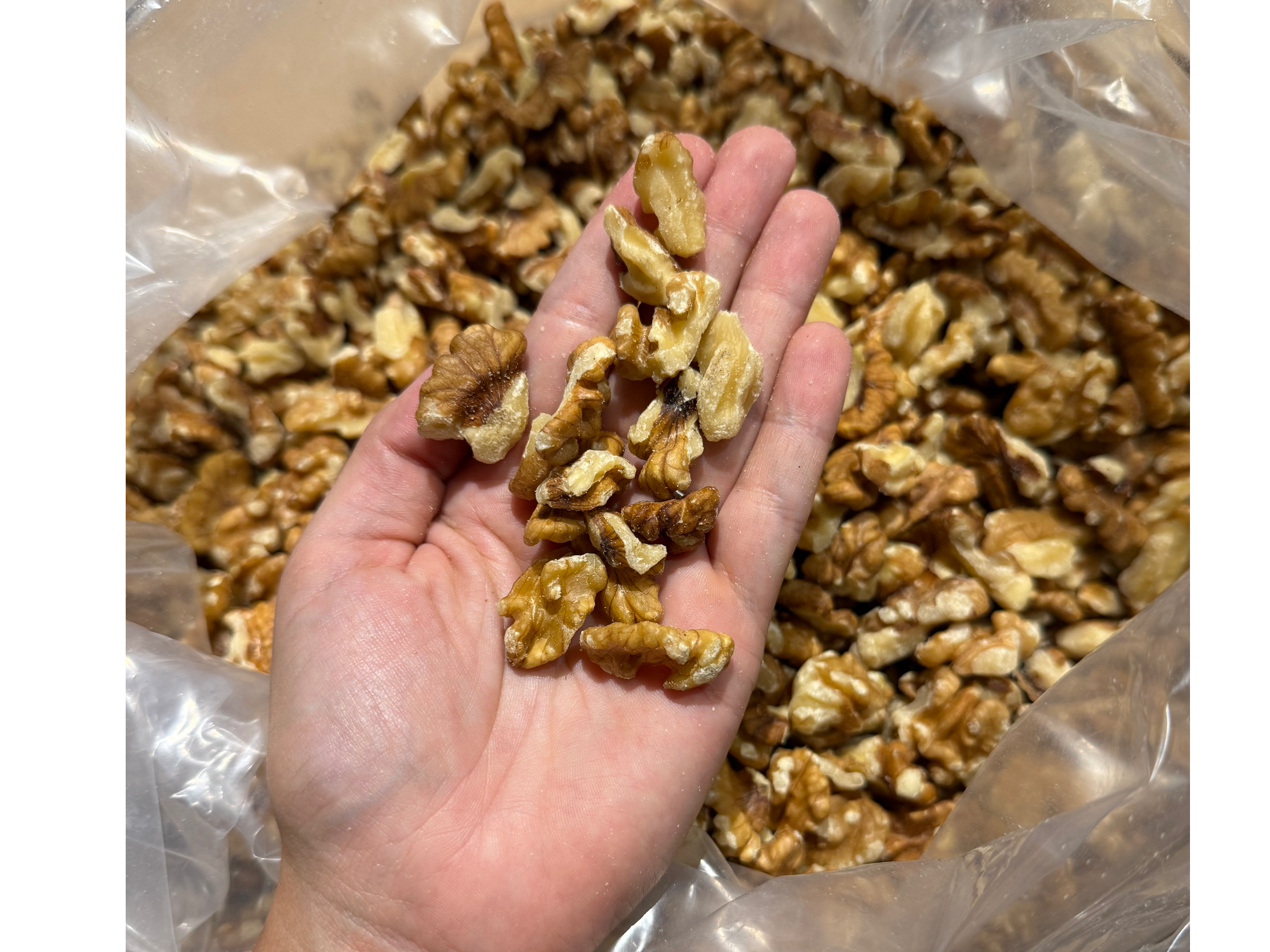 Nuez dorada partida ¡COSECHA 2026!