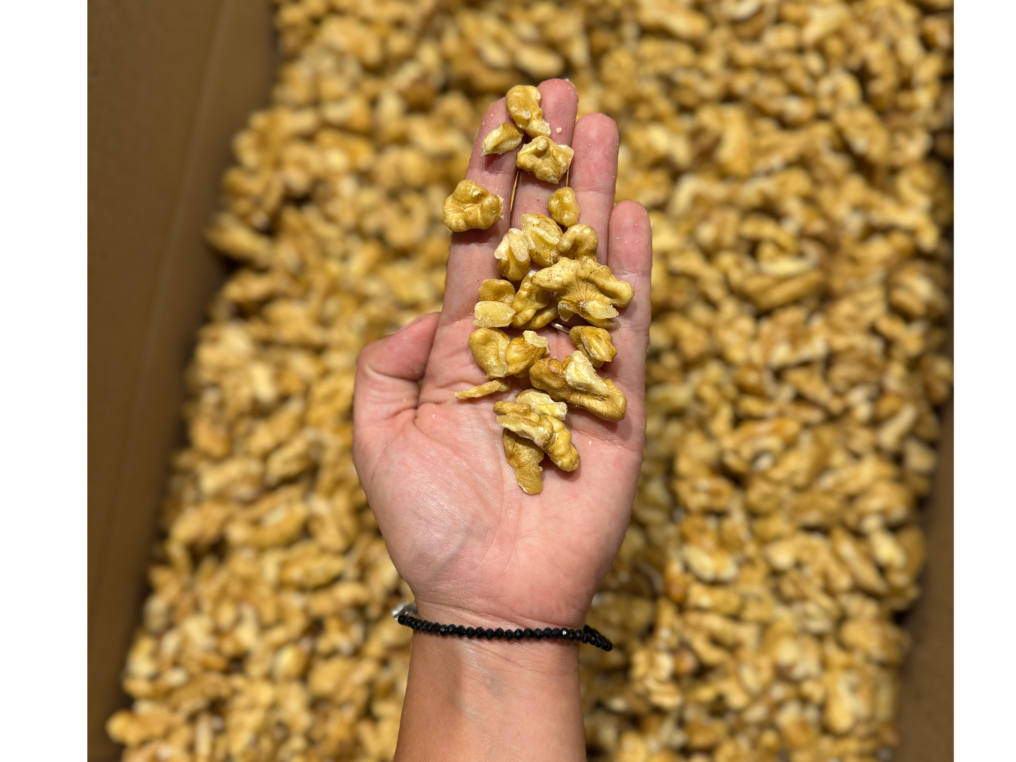 Nuez blanca partida ¡COSECHA 2026!