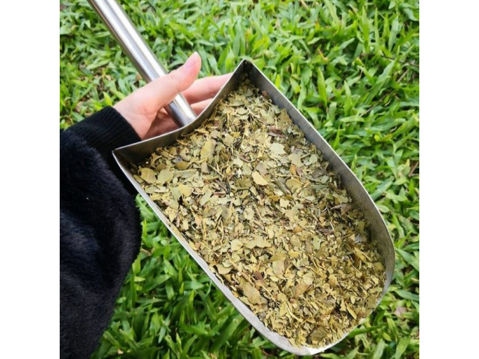 Yerba  Ajedrez premium