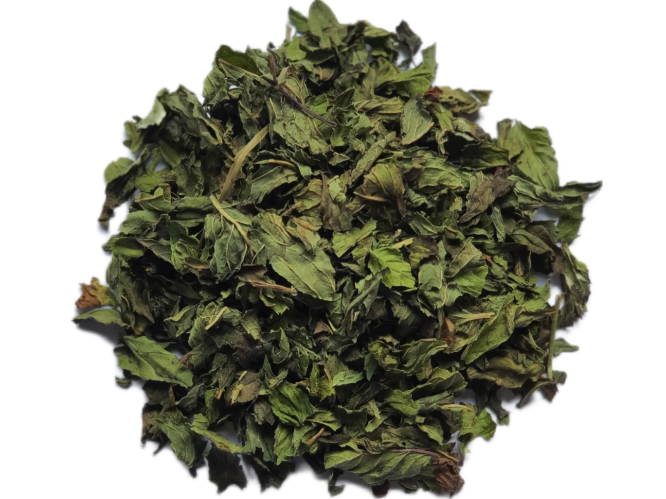 Menta
