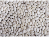 Porotos pallares