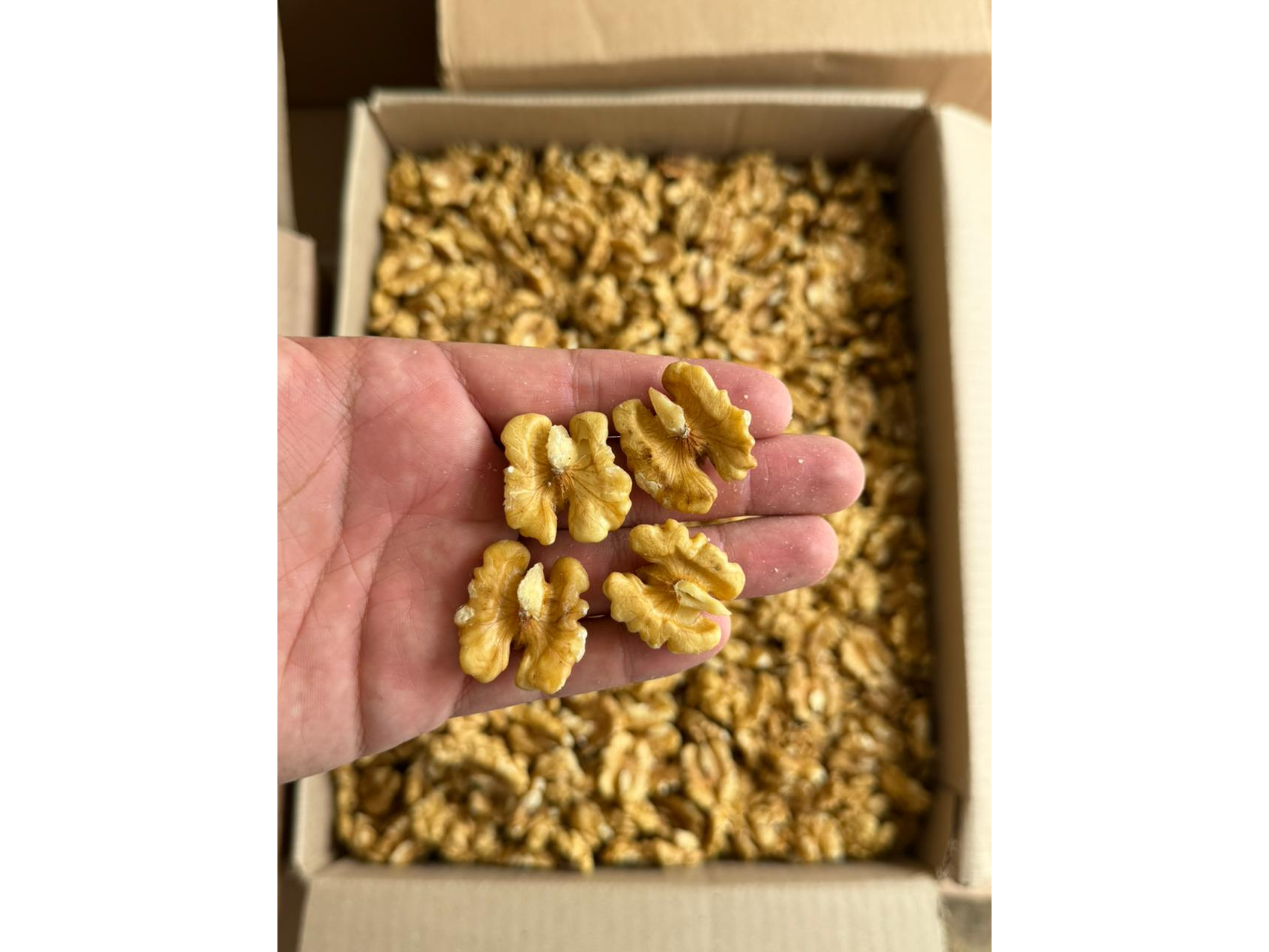 Nuez mariposa extra light