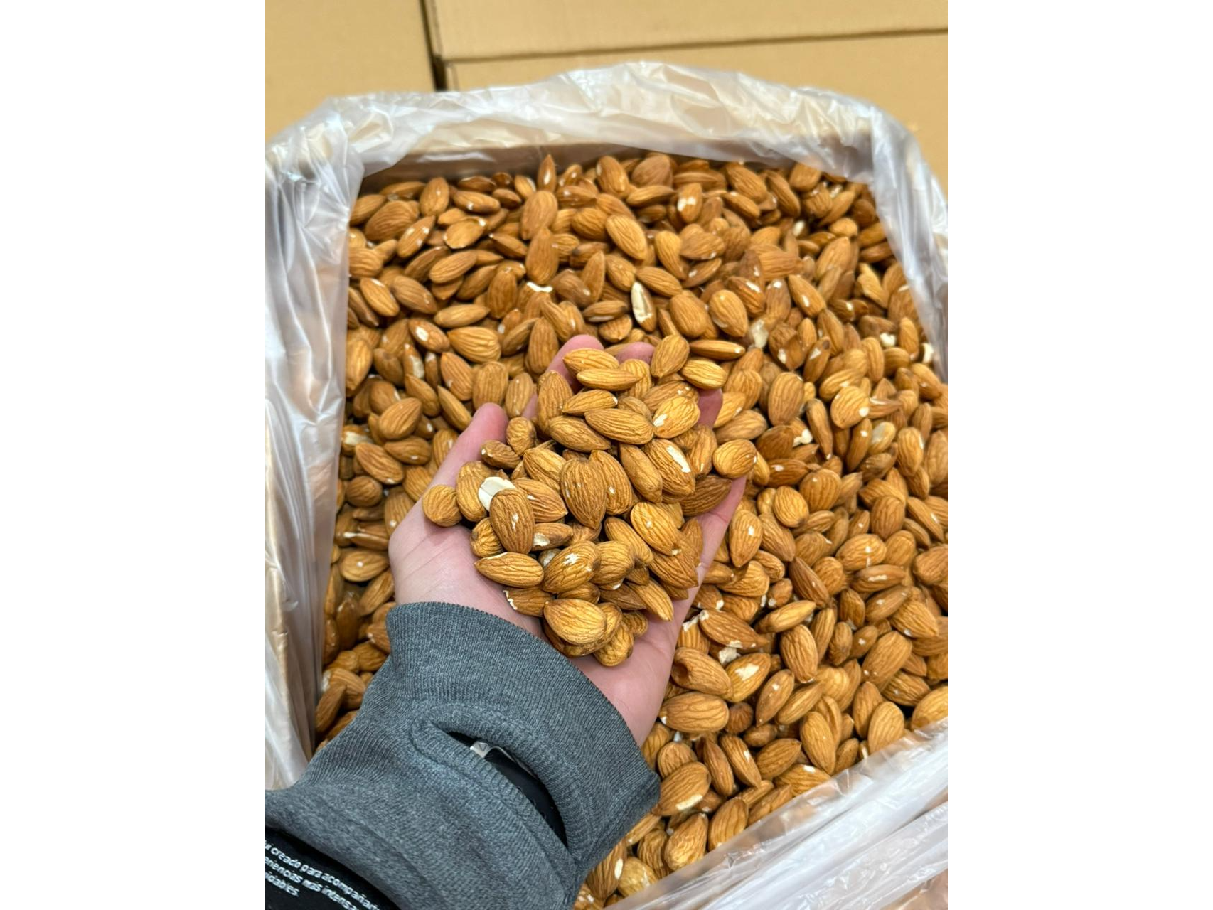 Almendras non pareil (daño)