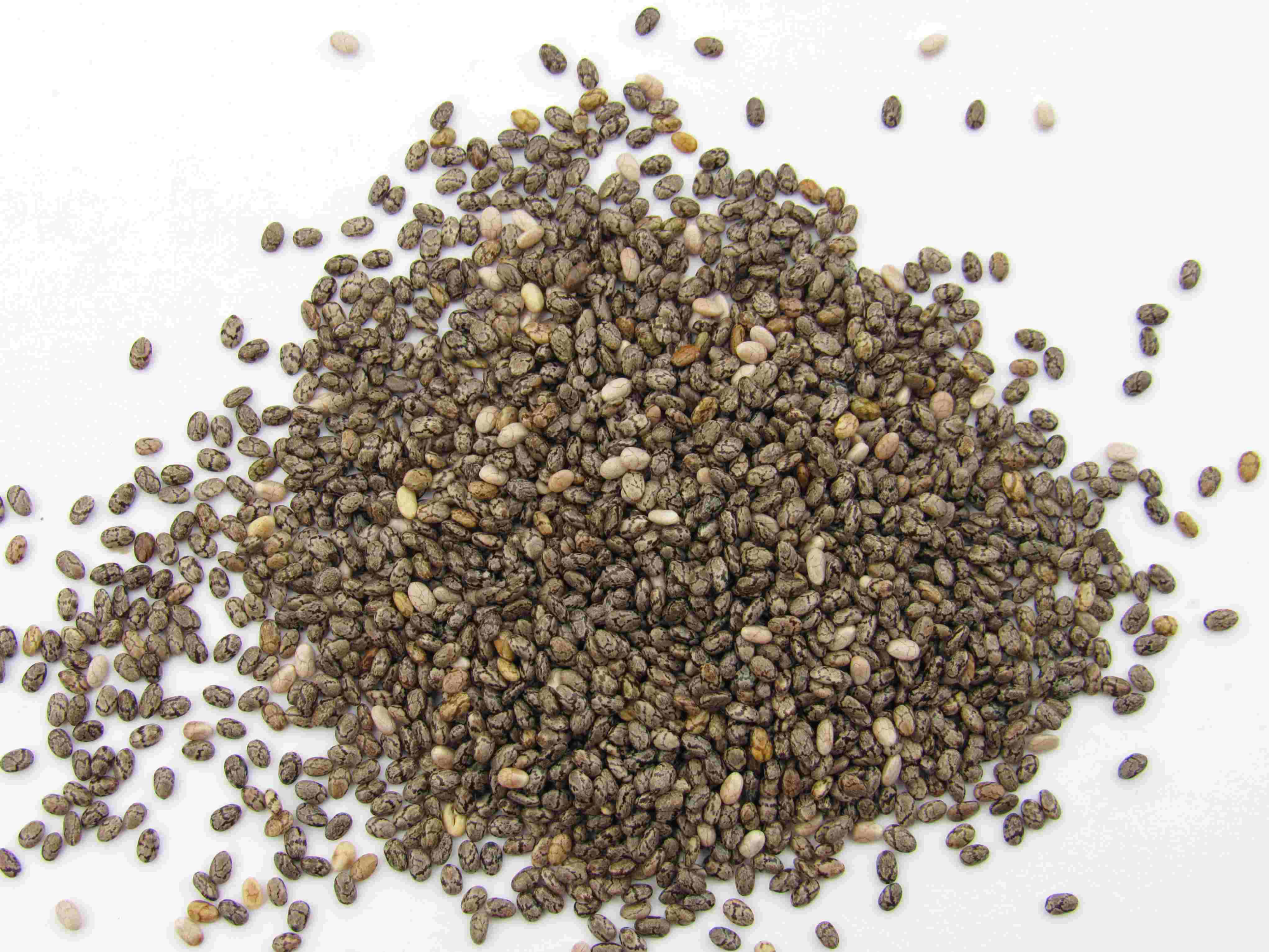 Semillas de chia premium