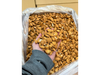 Almendras non pareil