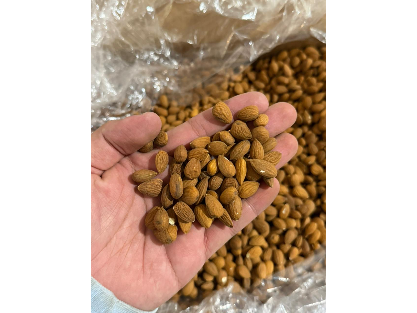 Almendras enteras medianas