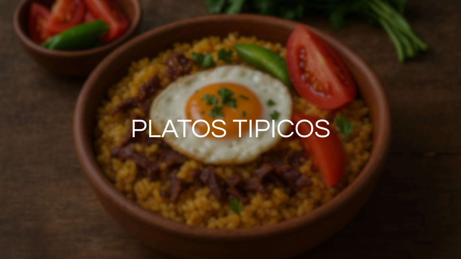 PLATOS TIPICOS