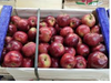 MANZANA RED NACIONAL (mediana)