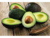 PALTA CHILENA MEDIANA