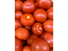 TOMATE REDONDO