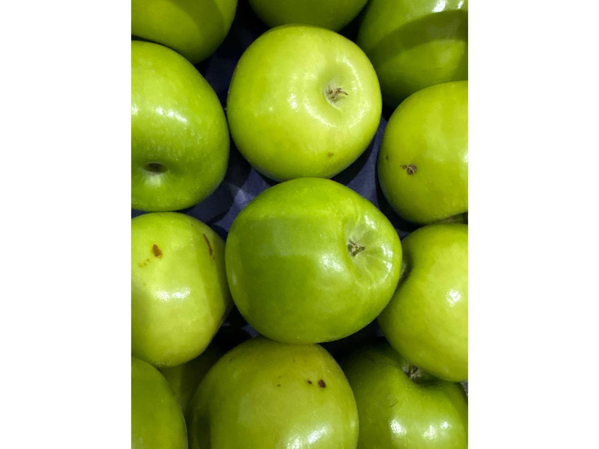 MANZANA VERDE CHILENA