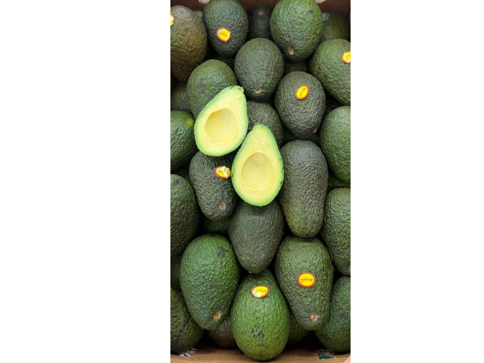 PALTA HASS  NACIONAL