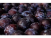 CIRUELA CHILENA