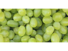 UVA BLANCA CHILENA