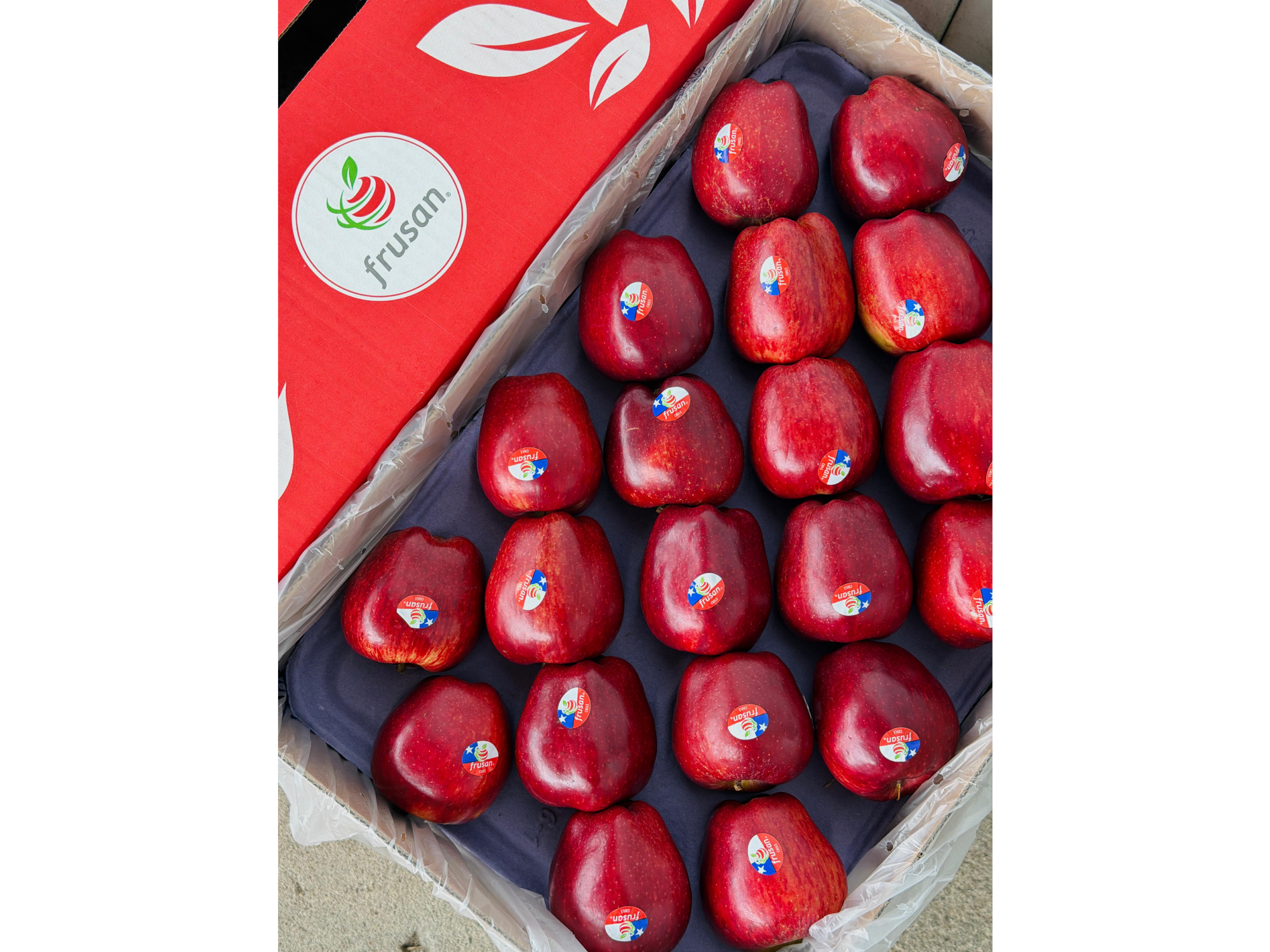 MANZANA RED SELECCIONADA (CHILE)