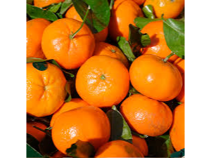 MANDARINA FUREY