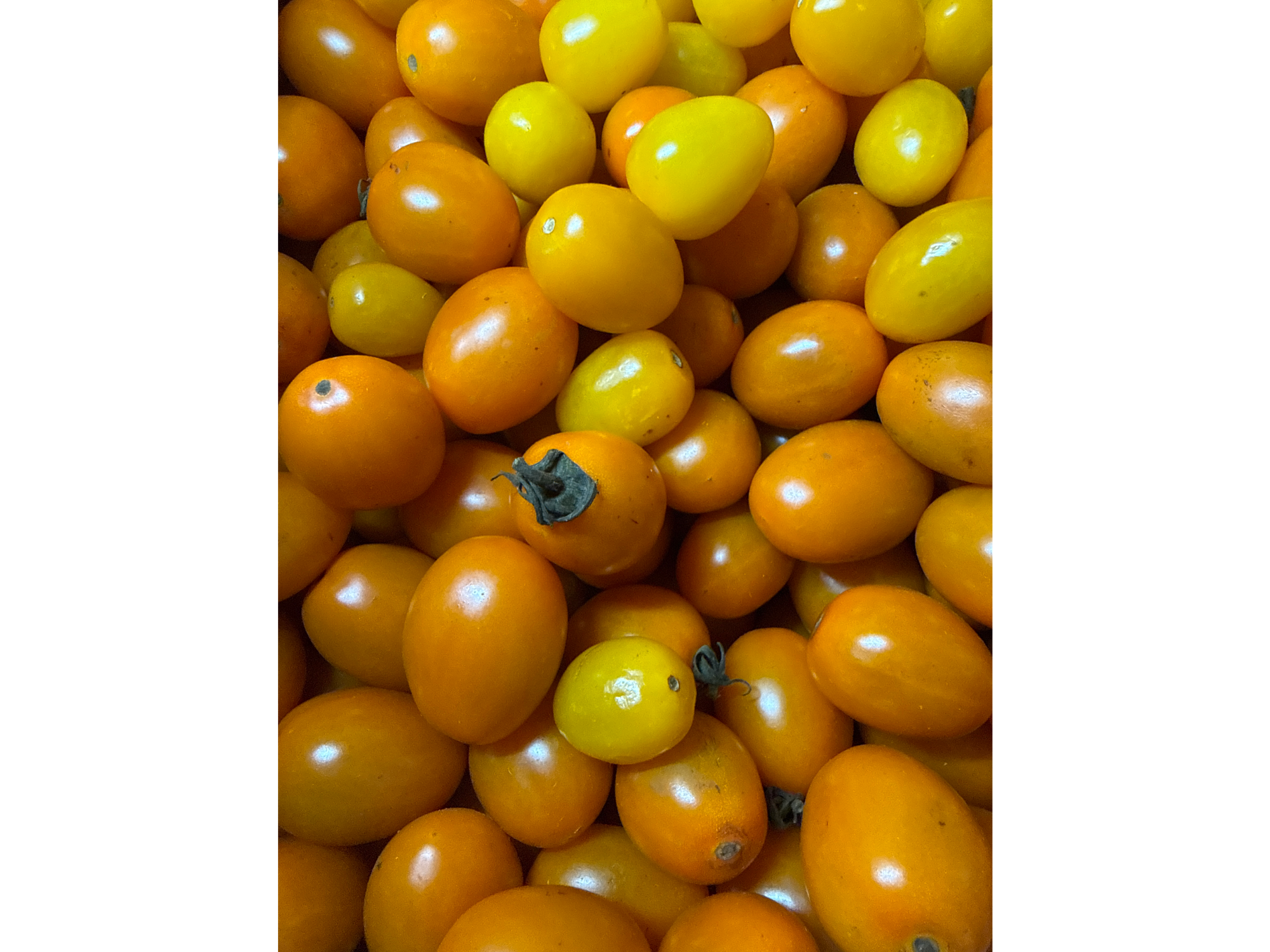 CHERRY CHOCOLATE