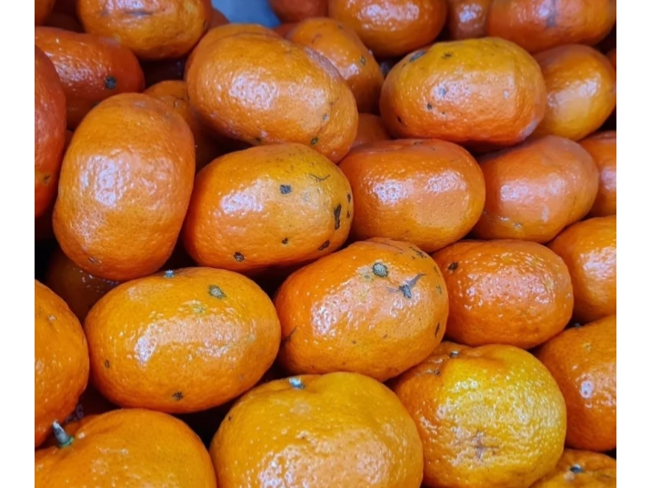 MANDARINA ENCORE