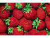 FRUTILLA