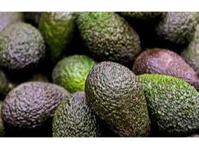 PALTA PERUANA (mediana)