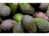 PALTA PERUANA (mediana)