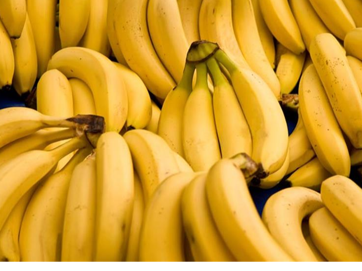 BANANA BOLIVIA