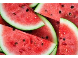 SANDIA