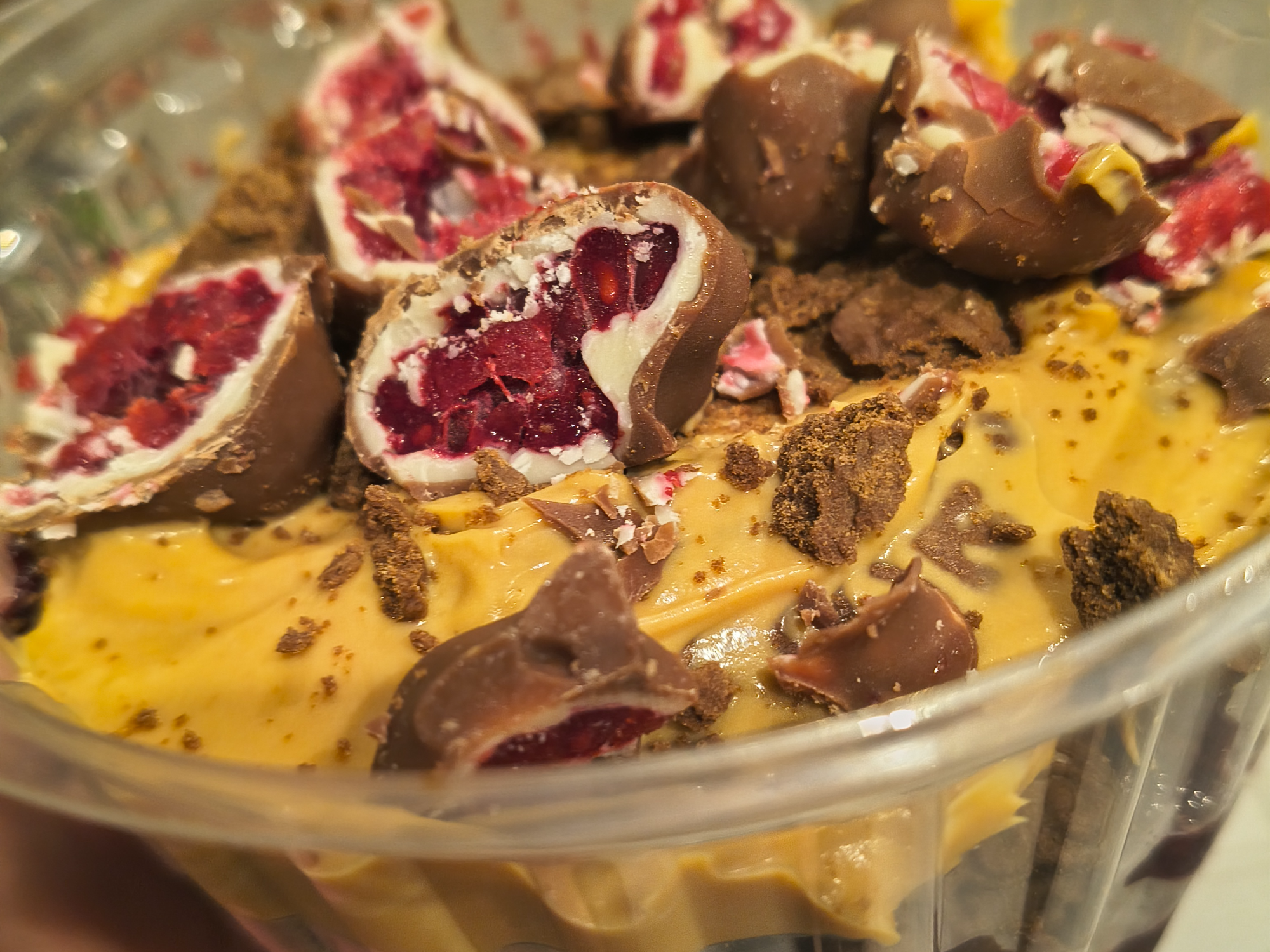 Chocotorta patagonica
