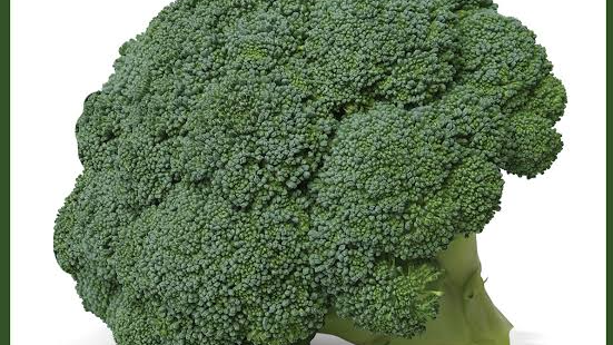BROCOLI HIBRIDO