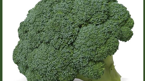 BROCOLI HIBRIDO
